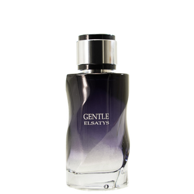 Reyane Tradition Gentle Elsatys For Men - Fragancias Boutique